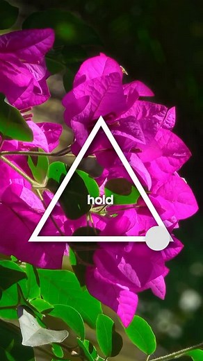 Daily Breathing 🌍 | Breathing Exercises App on Instagram: "1-4-2 breathing enhances mental clarity 💜 Inhale for 1 second (nose). Hold for 4 seconds. Exhale for 2 seconds (mouth). This focused breathing technique helps clear your mind, sharpen concentration, and bring you into the present moment. By slowing down and controlling your breath, you create space for clarity and calmness. Repeat for 2 minutes and notice your thoughts becoming lighter. How do you feel? #breath #breathing #breathingexe