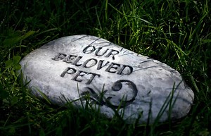 Heartwarming Pet Epitaphs to Memorialize Your Best Friend | LoveToKnow