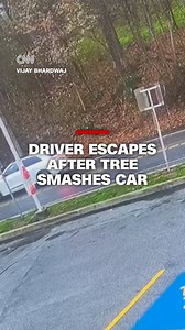 293K views · 1.6K reactions | Surveillance video shows a large tree falling across a road and smashing a waiting car in Pennsylvania. The driver was able to narrowly escape and was taken to the hospital, according to state police. | CNN | Facebook