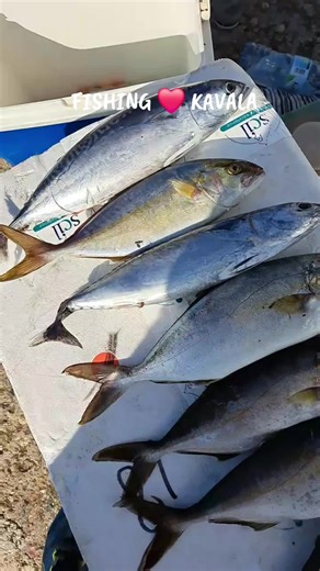 Fishing Adventures in Kavala, Greece