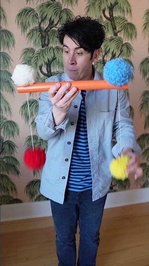 Can you solve the POM-POM PUZZLE?