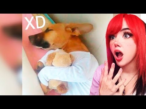 XD MOMENTS 🤡| IF YOU LAUGH YOU LOSE 152 || ITSMIDNA REACTS TO JEREMEMES