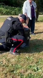 207K views · 631 reactions | Today our Animal Services Officers had...