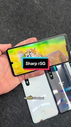 Sharp R5G High Configuration: 12/256 RAM Snap 865