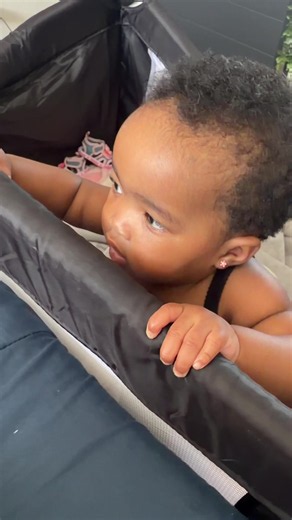 Cute Springbok Baby Moments: What Is a Springbok?