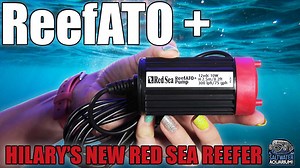 In this episode, Hilary unboxes the Red Sea Leak Detector and ReefATO from Red Sea. Join us as we walk you through the installation to make setup as easy as possible. We'll also share why you should check for leaks after set-up (oops, we missed a step!) and explain how to install in a non-Red Sea tank. | SaltwaterAquarium.com