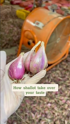 Raw vs Fried Shallots: Which One Rules the Kitchen? #shallots