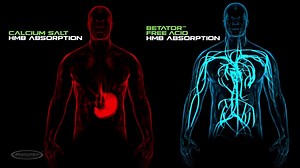 Watch MuscleTech Clear Muscle on Amazon Live