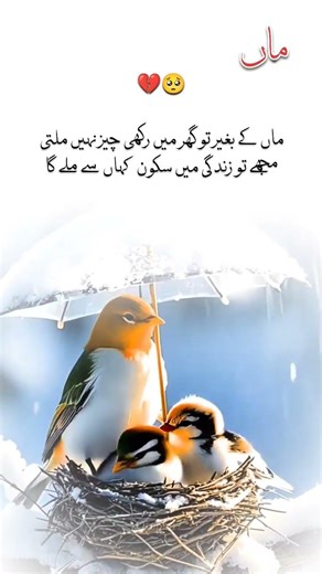 It's True 🥺💔💯#fypage #fypシ゚viral #sadpoetry #urdupoetry #mom #lovestatus