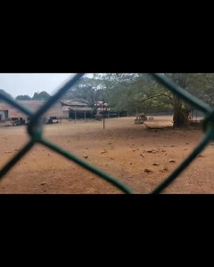 @ The Deer Park, Tripunithura Hill Palace 龜歷 癩 The Hill Palace's...