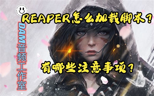 REAPER怎么加载脚本？有哪些注意事项？