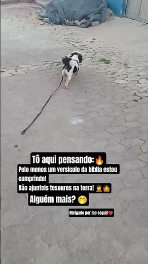 Não queria mais estou cumprindo 🤭🤷