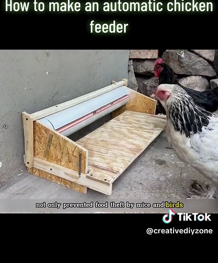 How to make an automatic chicken feeder #DIY #craft #diy #restoration #restore