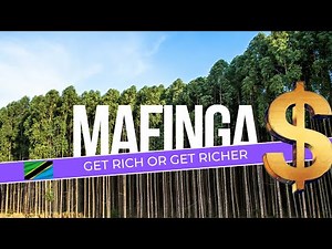 Discover Mafinga: Tanzania’s Hidden Agricultural Gem 🌾