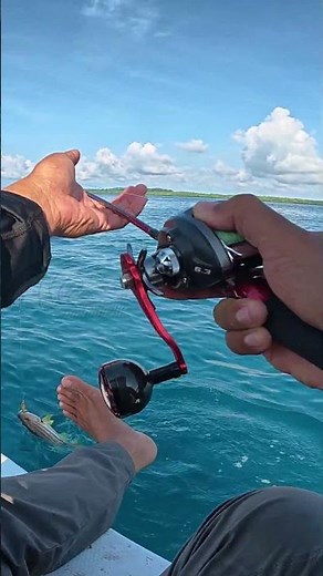 UL JIGGING AT A DEPTH OF 15 METERS CAN CATCH DELICIOUS FISH #fishing #mancing