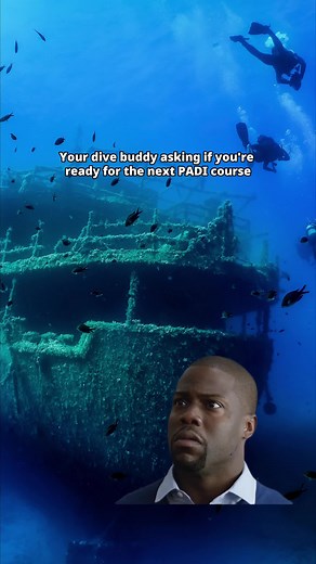 No time for questions, just action! 🤿🏃‍♂️ Are you and your buddy ready to take your scuba diving skills to the next level? The Master Scuba Diver Challenge is here to ignite your passion for diving and reward you for your dedication. Running until 12/31/24, this contest offers an incredible opportunity for divers to earn the prestigious PADI Master Scuba Diver (MSD) rating and win amazing prizes, including a dream dive trip to the Maldives 🏝️ Every additional PADI course you take between now
