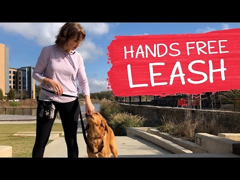 How To Correctly Use A Hands-Free Leash