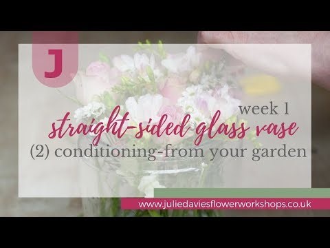 Conditioning garden flowers and greenery | week 1 video 2/7