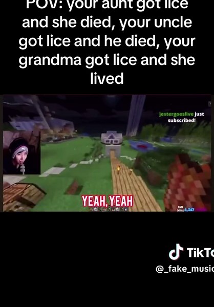 Why you got lice in ur head man 😔 #mcyt #Dsmp #quackity #lice | lice