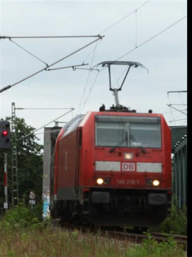 146 mit Intersanter Wagenreihung aus Richtung Rügen nach Rostock 👀 #fyp #eisenbahn #fy