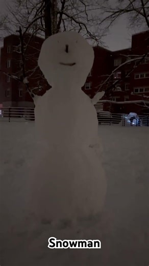 Snowman #snowman #snowmanchallenge #snowmanart #snowmanstory #snowmanfun #snow #snowfall #viral
