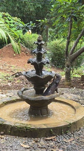 Otters playing in the fountain ll Bermain air mancur #otter #animals