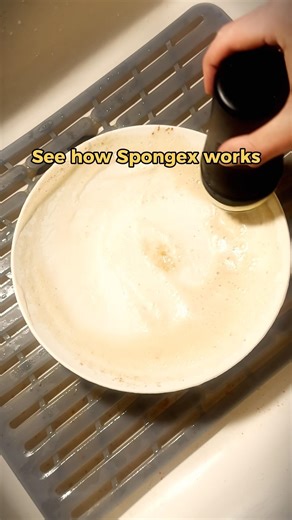 Dishwashing without the effort