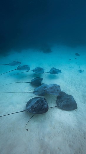 10K views · 38K reactions | I didn’t expect that That’s what I said...