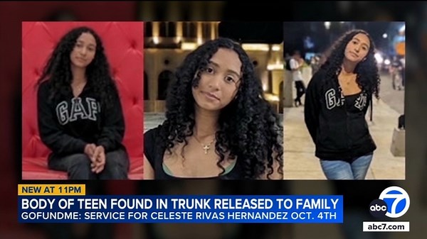 Teen's cause of death still undetermined after body found in D4vd's Tesla, death certificate reveals