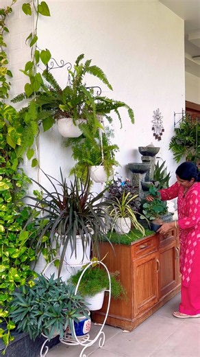 Plant arrangement #homedecor #indoorplants #gardening #plants #homegarden #gardeningtips #outdoors