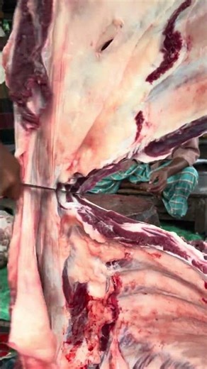 exclusive ox meat processing skills.