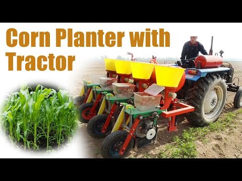 How to Plant Corn with Taizy Machinery's Corn Planter and Tractor #corn #cornplant #agriculture