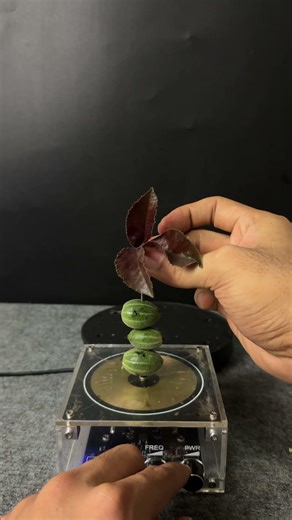 Tesla coil + fruit + leaf