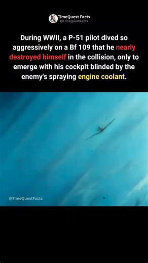 The Pilot Who Attacked Too Fast #shorts