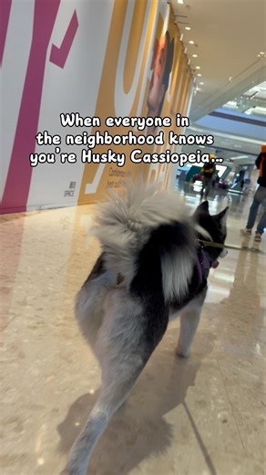 Being a celebrity isn’t easy…but someone’s gotta do it 🐾 😎🐕