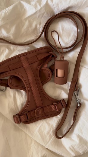 Wild One Dog Harness Walk Kit Unboxing & Review