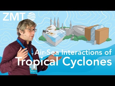 TropEcS Symposium: Nils Brueggemann - Tropical Cyclones in Kilometer-Scale Earth System Models