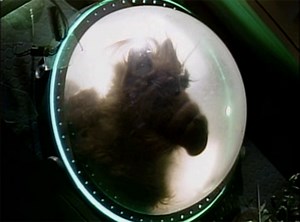 ALF - Voir le 1er épisode de la série TV - Alf.fr