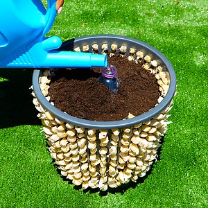 7.4M views · 26K reactions | Beneficial uses of garlic outside the kitchen.  | 5-Minute Crafts | Facebook