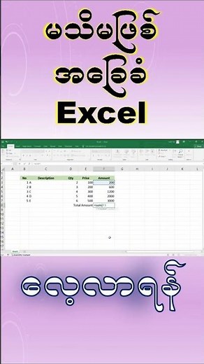 Using Microsoft Excel for Beginner
