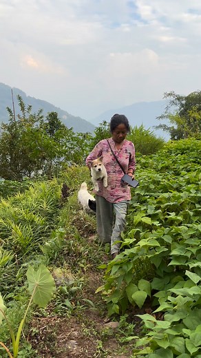 Haha tinkuli ta 😂😂😂 | Malati Rai