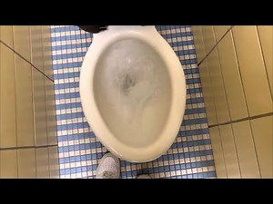 63: Very Powerful 1950-1970s “Standard”/AS Madera toilets!