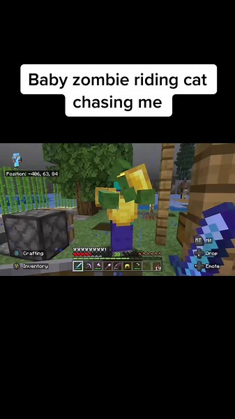 Baby zombie riding cat chasing me #clips #fyp #fypシ #foryoupage #gaming #gamingontiktok #funny #minecraft #cat