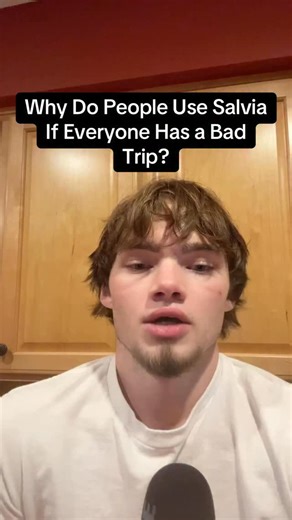 Zach Minnich on Instagram: "Why Do People Use Salvia If Everyone Has a Bad Trip? #sobrietyjourney #addictionrecovery #addiction #addictionawareness"
