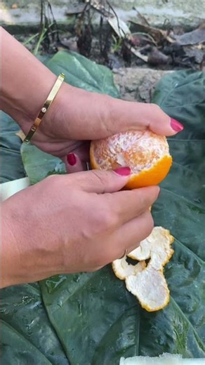 Peeling Orange Fruit #orangefruit