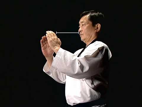 Kukkiwon 1 of 6 Basic Taekwondo Motions