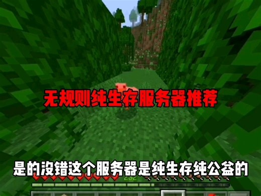 我的世界无规则纯生存服务器推荐