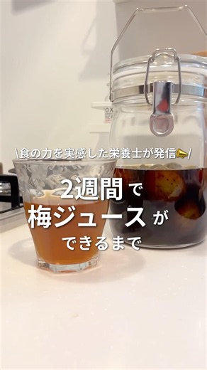 2週間で梅ジュースができるまで🍹 #梅ジュース #梅しごと #手作りジュース#栄養士 #レシピ
