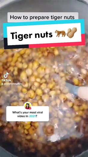 Soaking Tiger Nuts for Fishing Bait: A Complete Guide