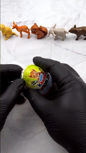 Natoons Kinder Surprise Egg Opening | ASMR Unboxing Jungle Animal Toy